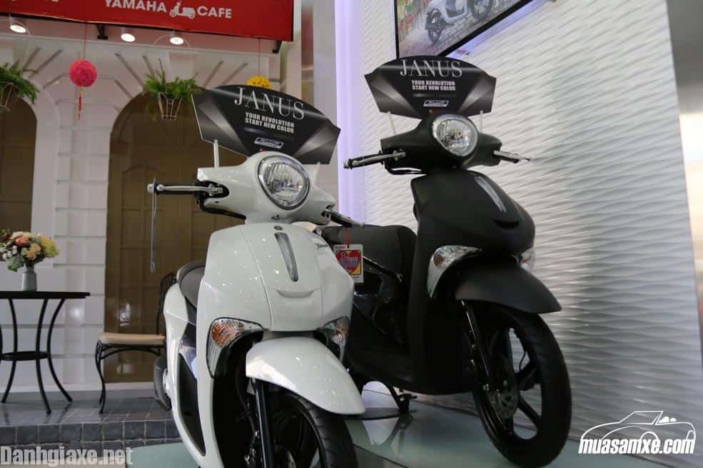 Động cơ xe Yamaha Janus 2019