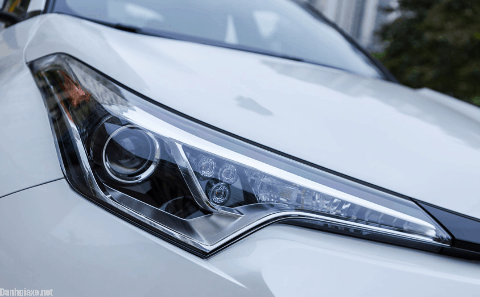 Đèn pha xe Toyota C-HR 2019